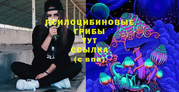 мет Алексин