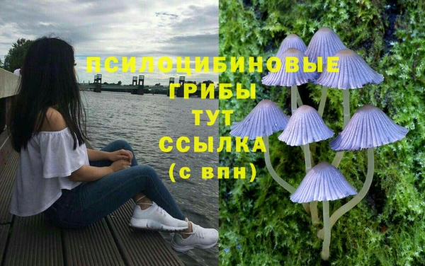 наркотики Алексеевка