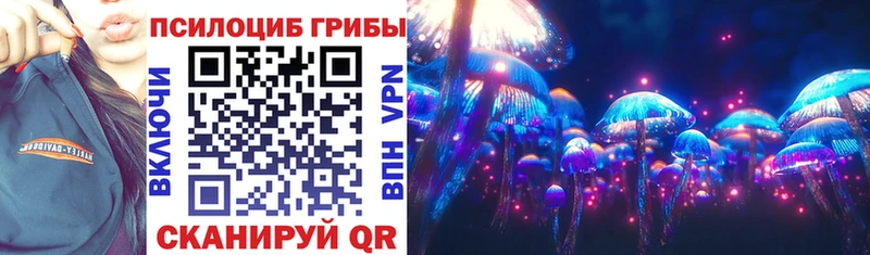 Галлюциногенные грибы Psilocybe Кирс